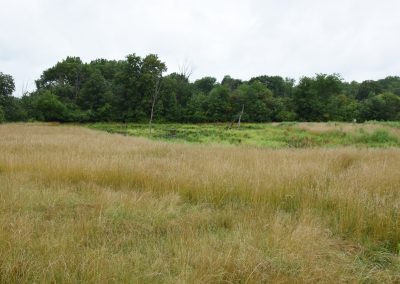 Redhorse Bend Preserve Wetland Restoration