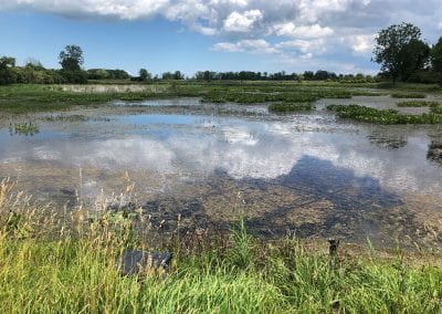 Bohling Marsh Wetland Reconnection