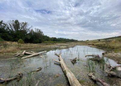 Springcreek Confluence Off-Channel Wetlands