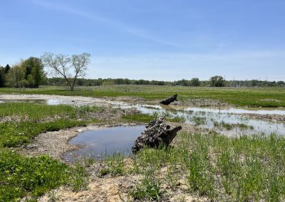 Chippewa Creek Floodplain and Wetland Restoration Project