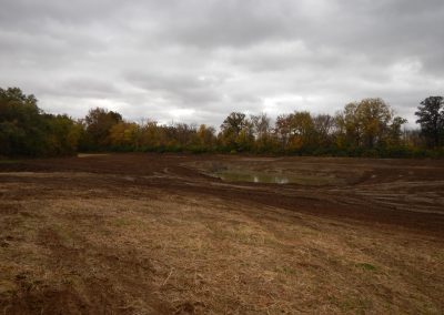 Walnut Creek Treatment Wetland Restoration
