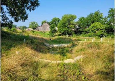 Gorman Heritage Farm Treatment Wetland System