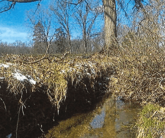 Stream, Floodplain, and Wetland Restoration at Mill Creek GC