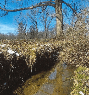Stream, Floodplain, and Wetland Restoration at Mill Creek GC